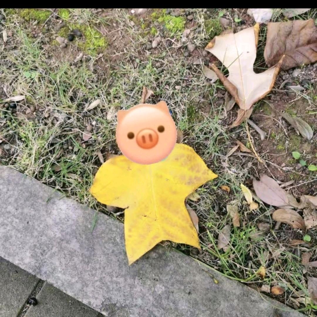 小 熊🌧🌞
