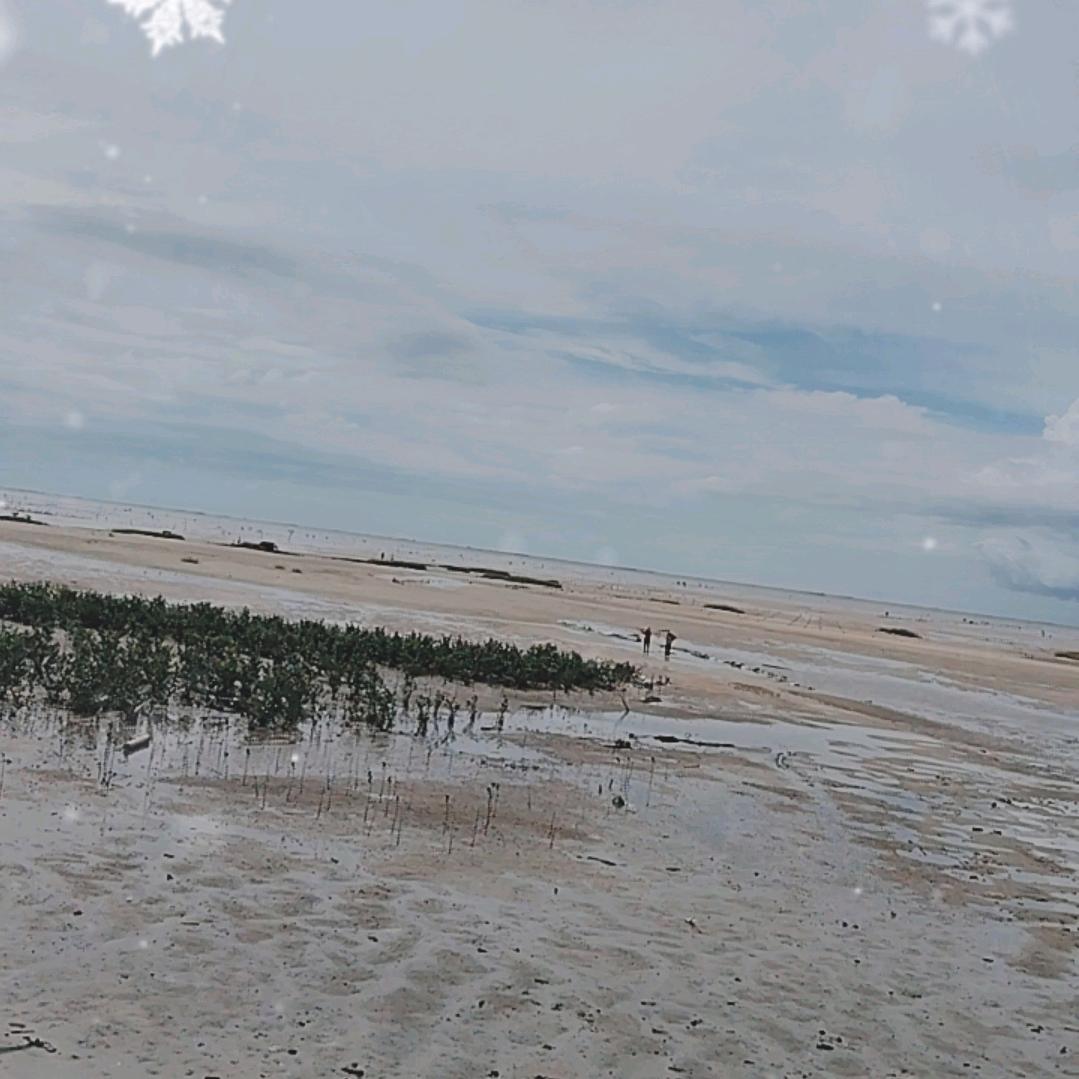 海边守望者🌈啊三哥