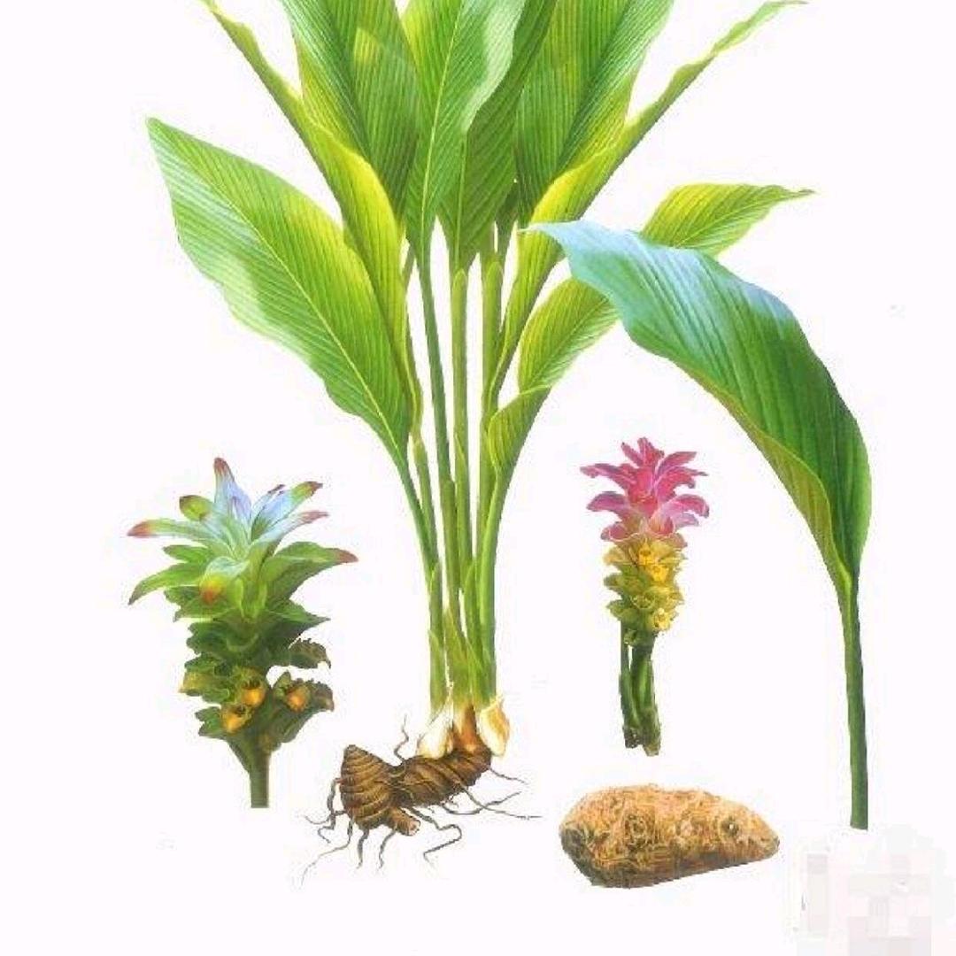 桂林世丰农业科技有限公司