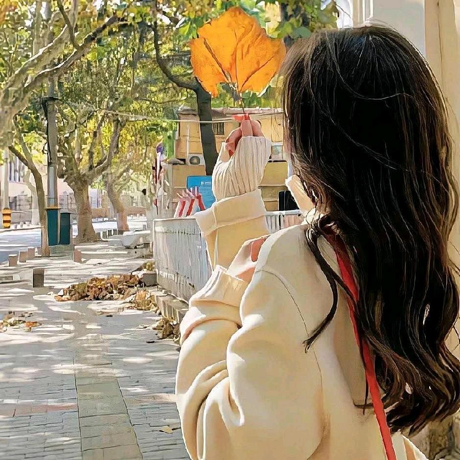 木兰少女心