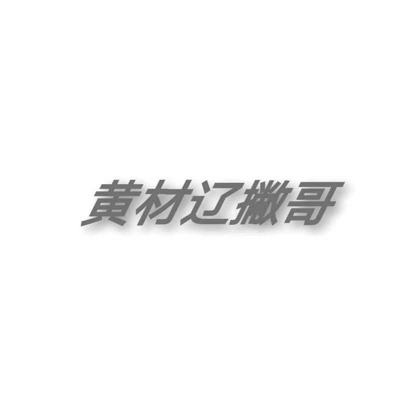 辽撇哥