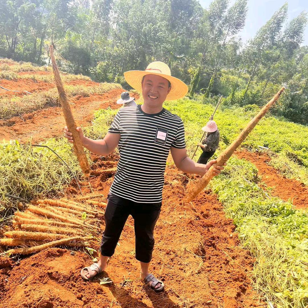 阿尾.果蔬代办一手货源