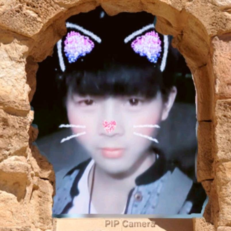 猫良