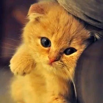 *只身再赴长安*