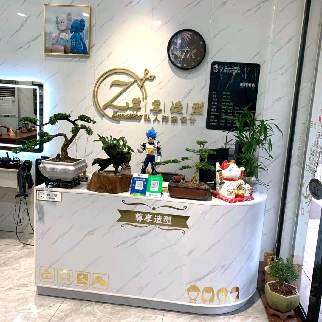 尊享造型(美发造型店)官方号