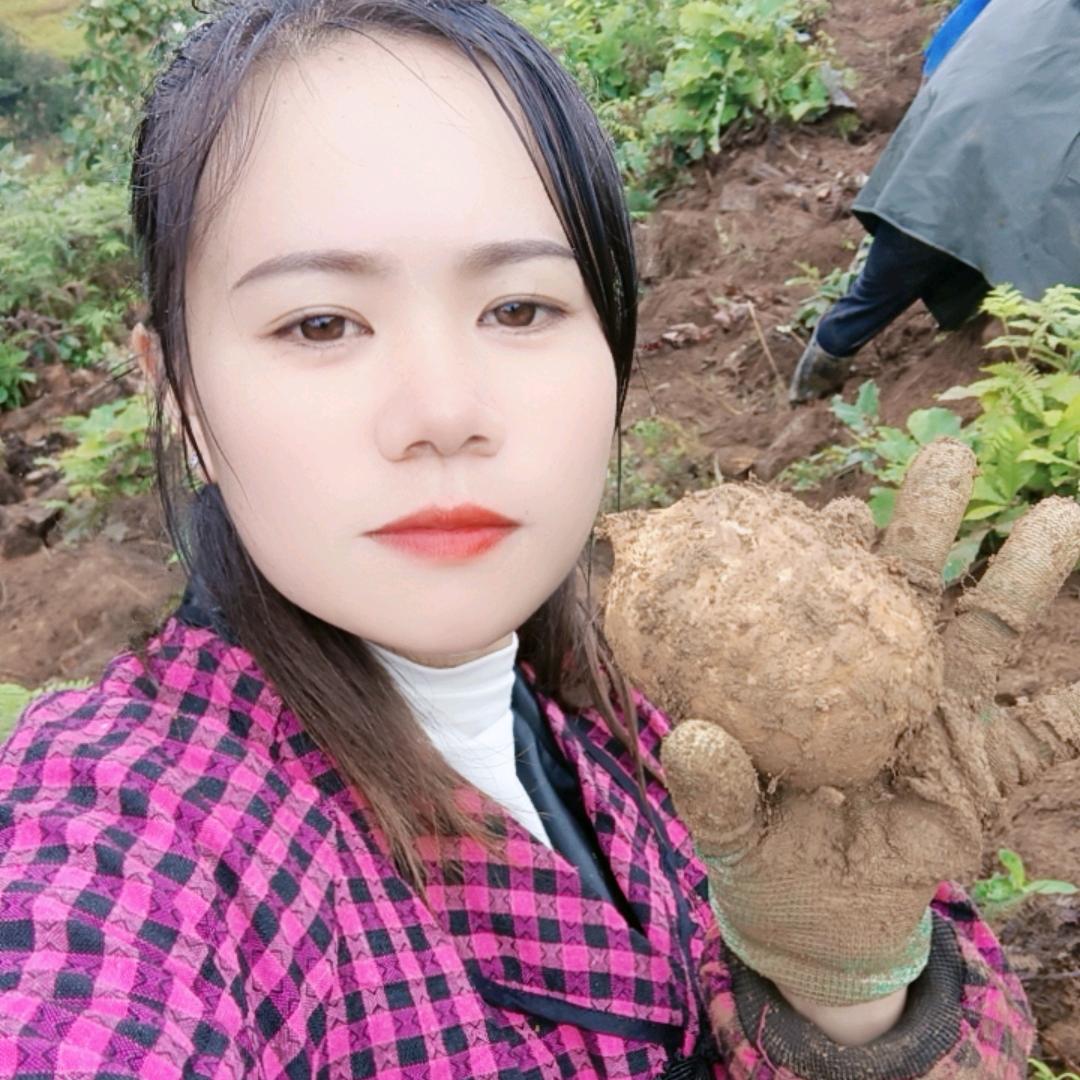 刘大姐
