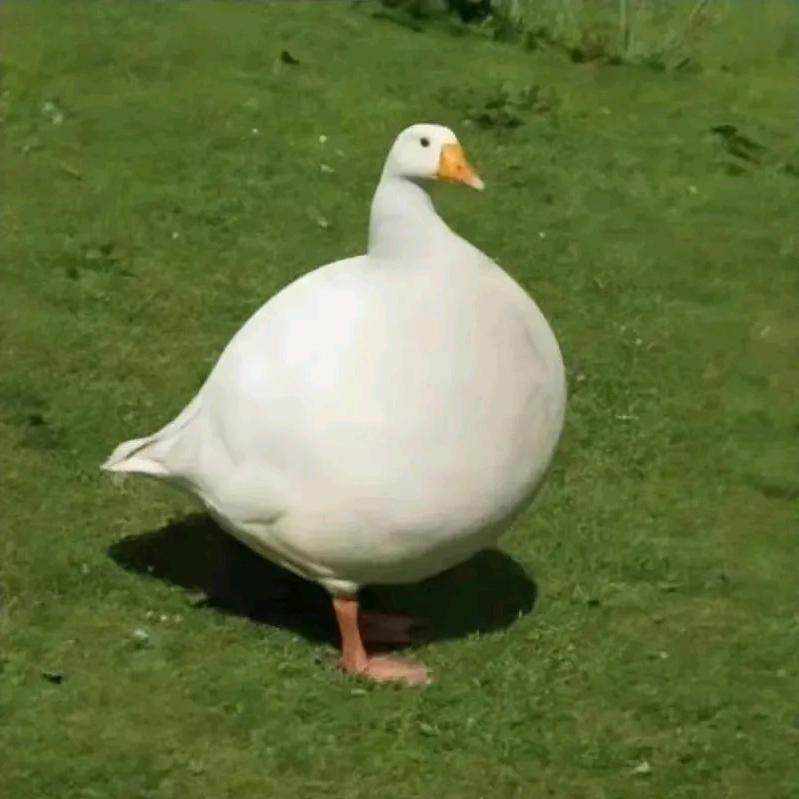 GIVVEMEPoWer头像