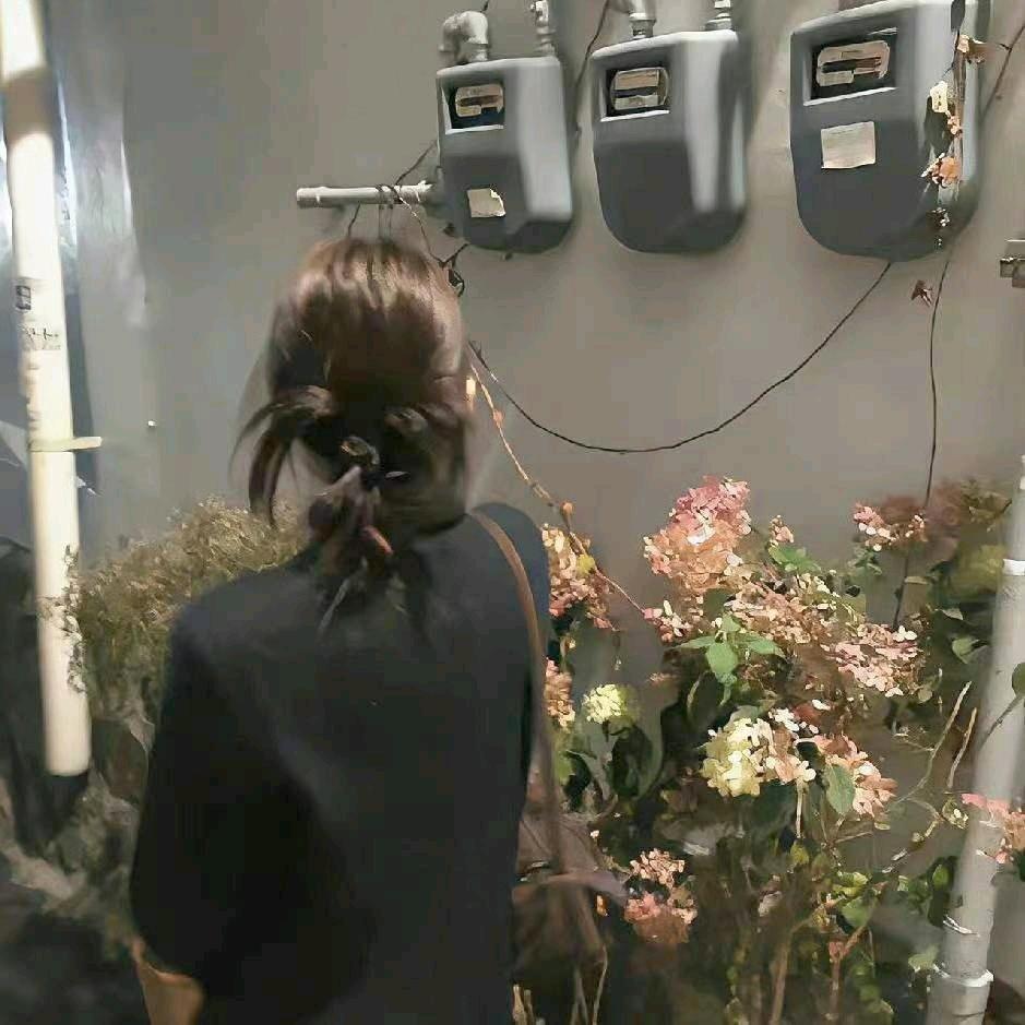 开战舰的耙耙柑