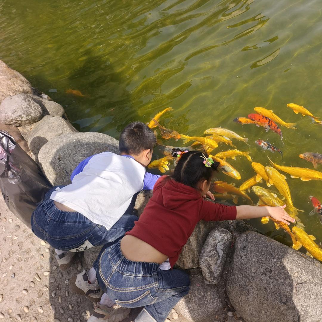 张:Zh✈ang♪ 王: w╭ang♡