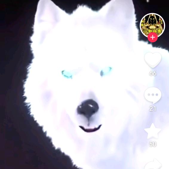 雪狼
