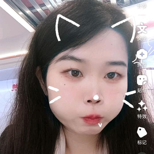 文文