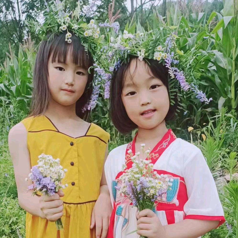山菊花头像