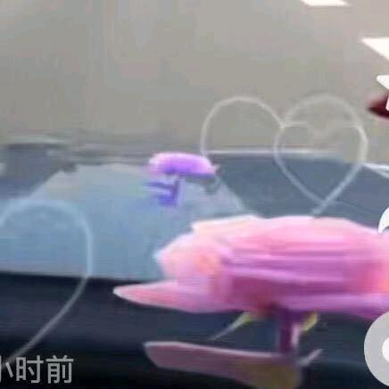 开心快乐每一天