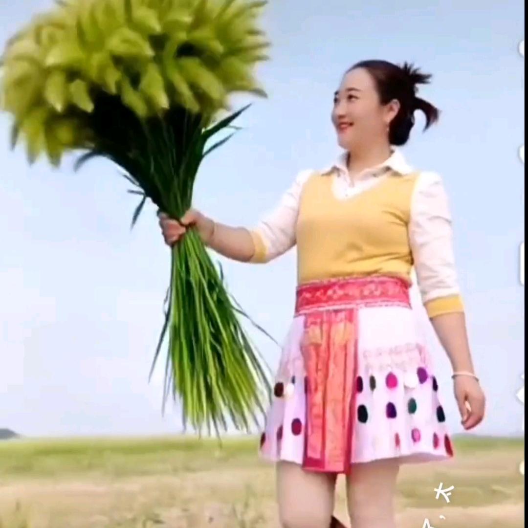 花木兰姐