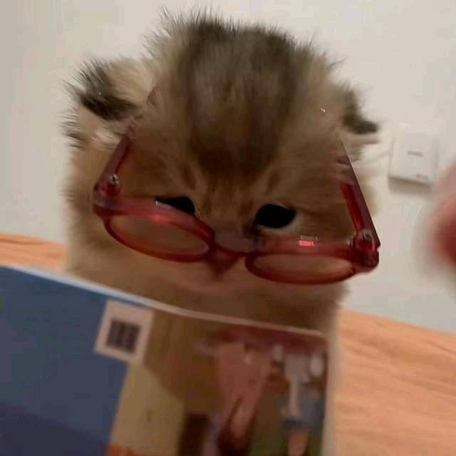 随安