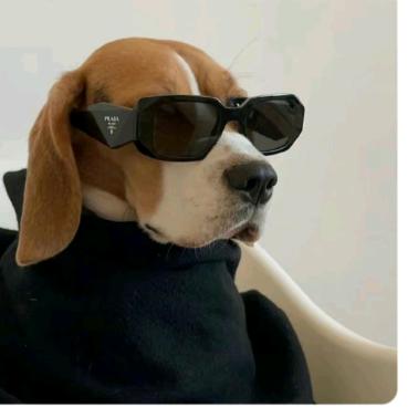 不要饿着肚子去上学