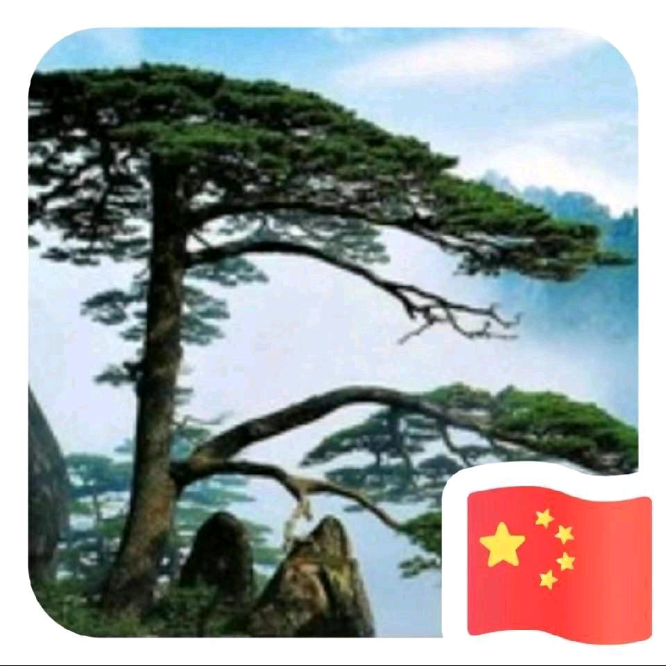 黄山大哥