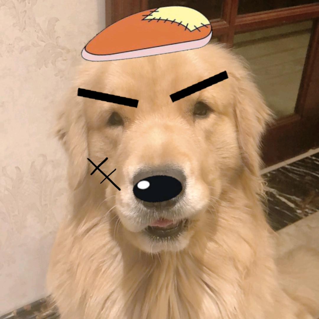 烂滥鱼