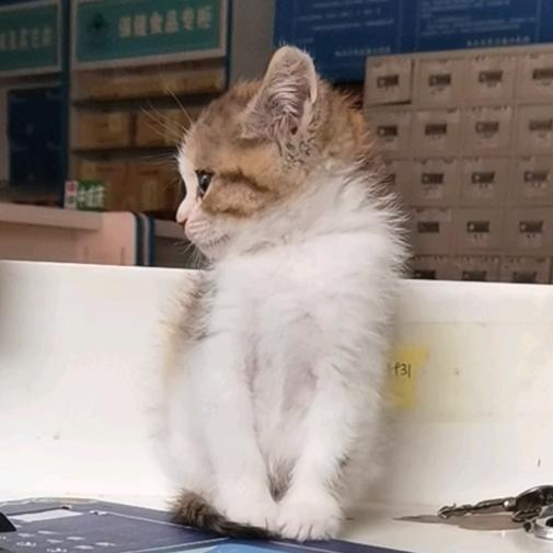 夜微凉的小情绪