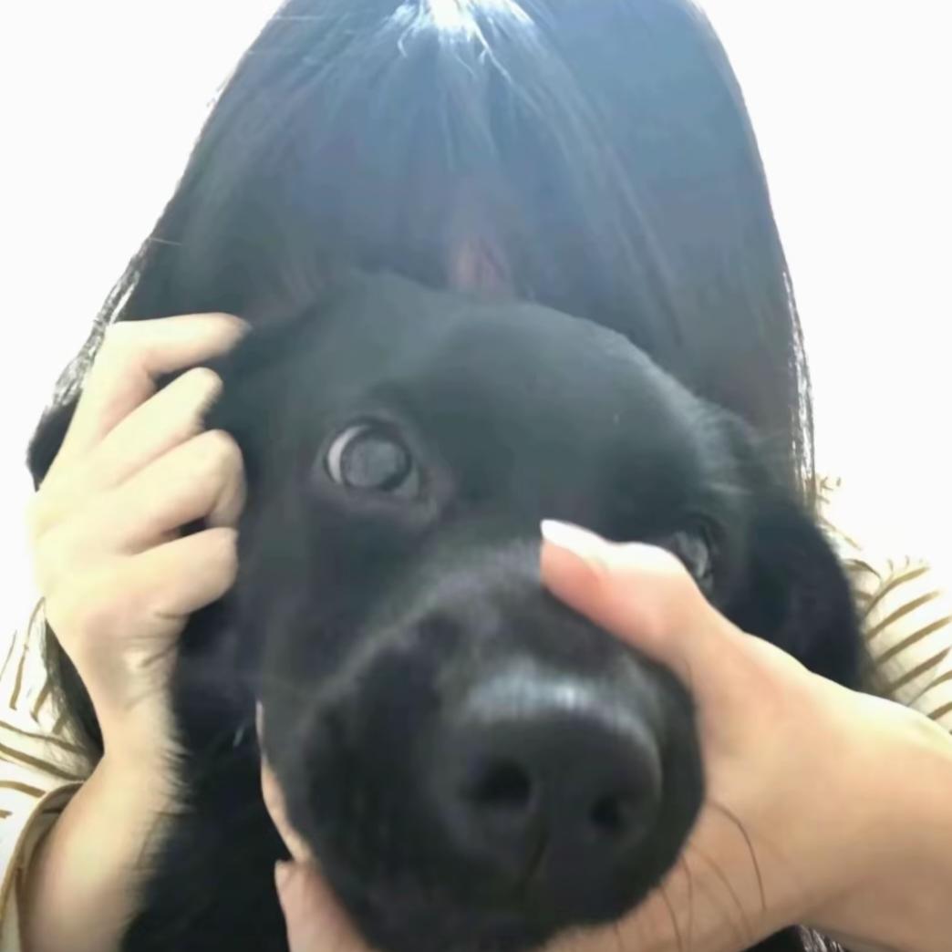 🇨🇳紫夜✨