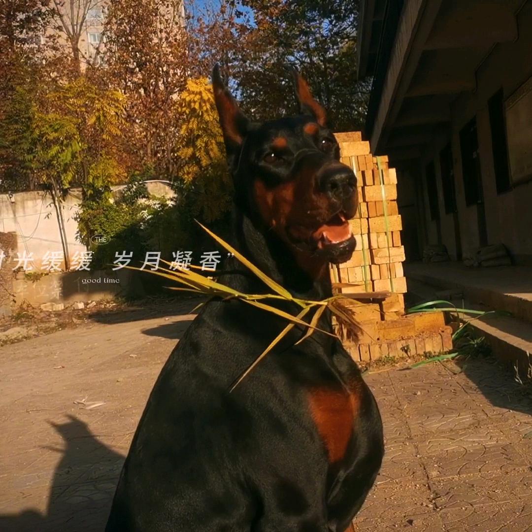 梦想源