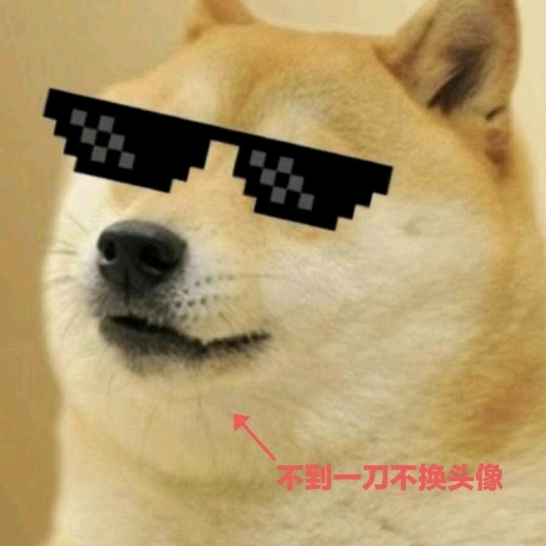 至爱DOGE