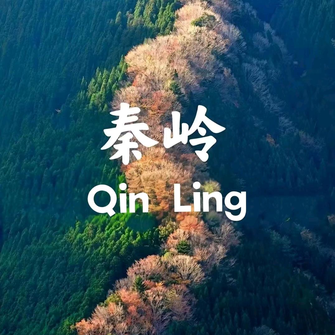 秦岭甄选供应链