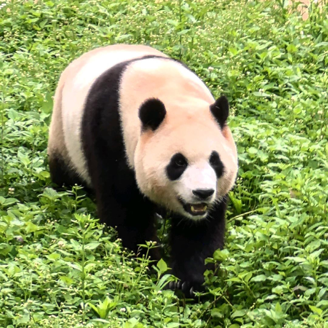 🌈阿琳🌈
