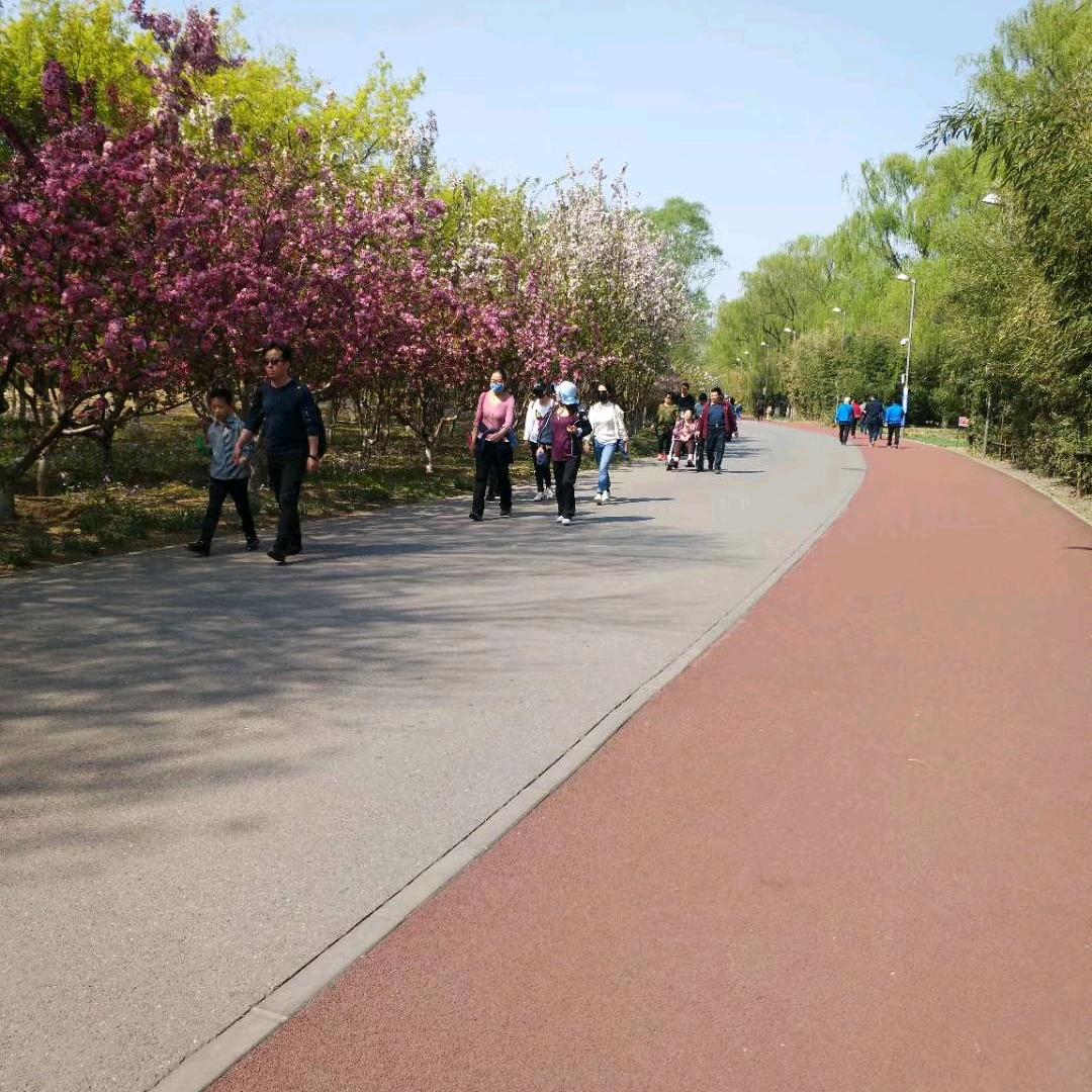 永远o( ❛ᴗ❛ )o