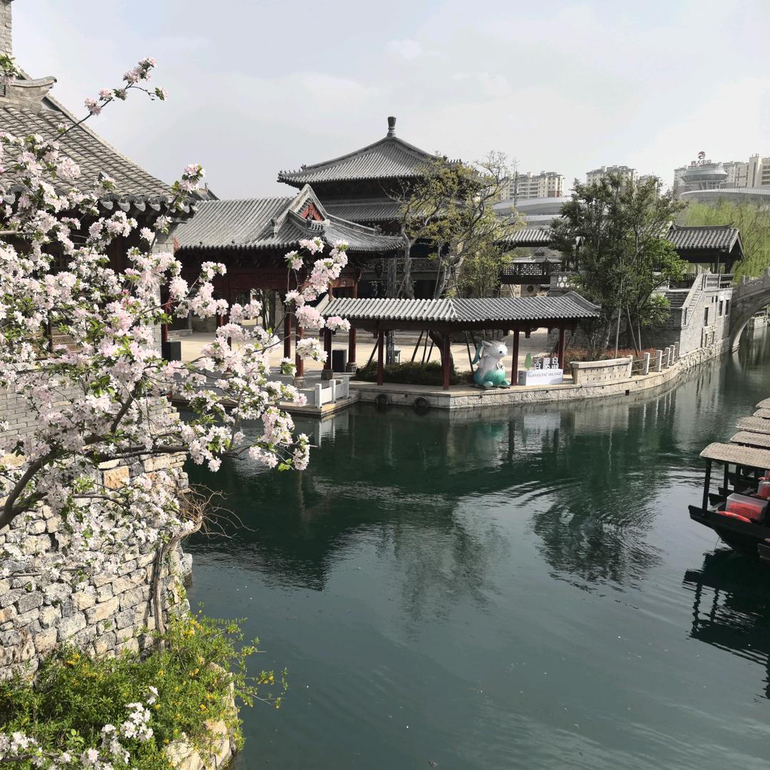 妮妮