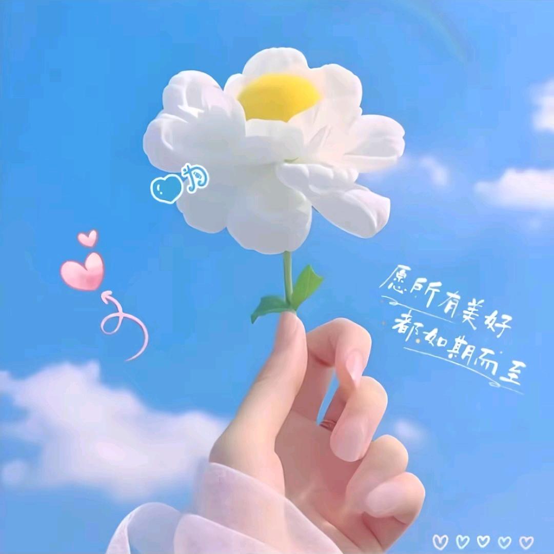 幸福杨子^O^(拒连赞)