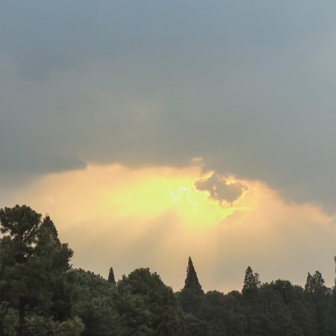 默默耕耘的农民