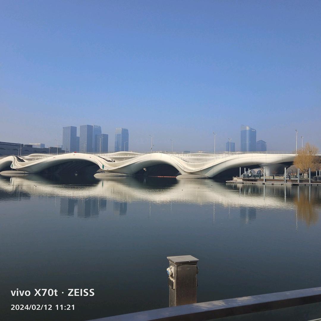 海鸥高飞
