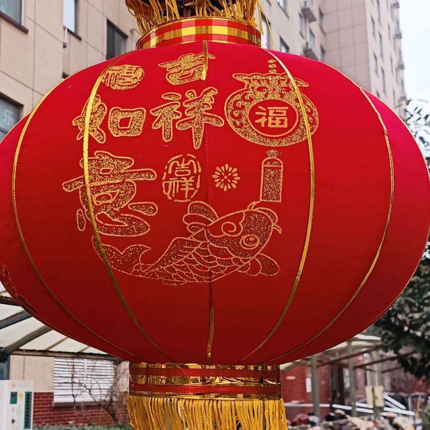 小小好物+学历提升