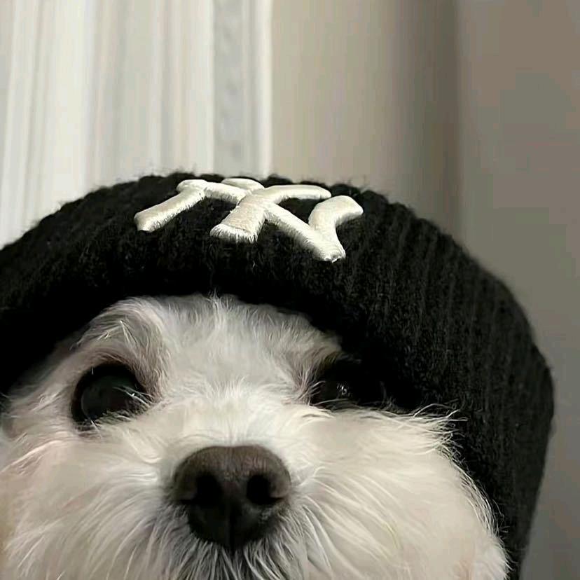 我和她