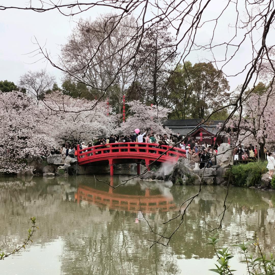程先森(湖北应城)