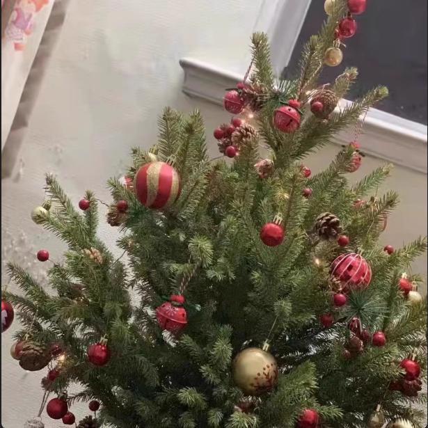 感恩，有缘人，