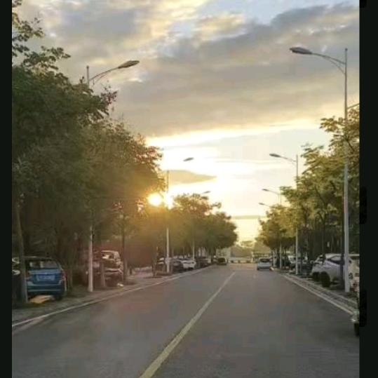 小💞汪