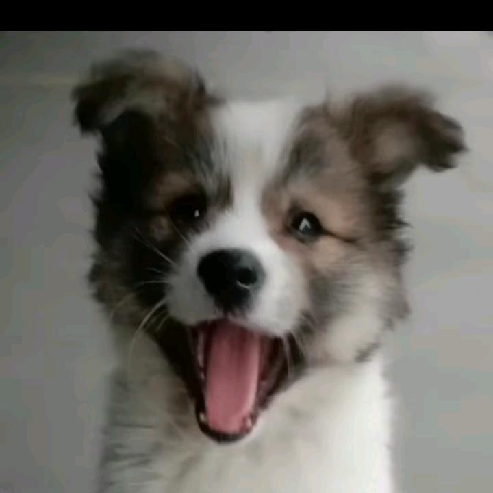 开着拖拉机环游世界