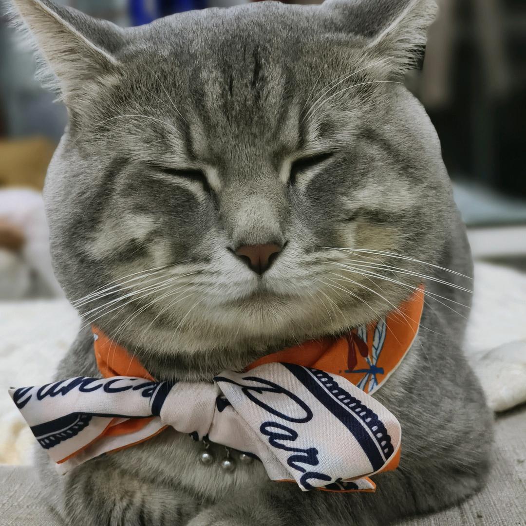 🌈胡叨叨呀胡刀刀🌈