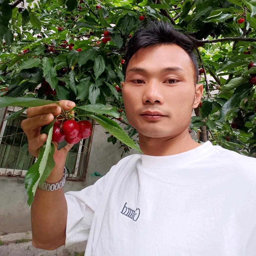 重庆拆出团队