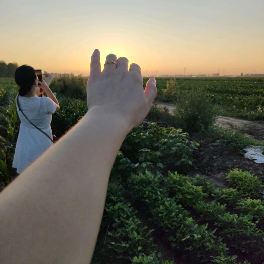 伸手摘星晨
