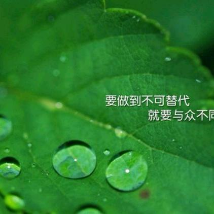 读者书单