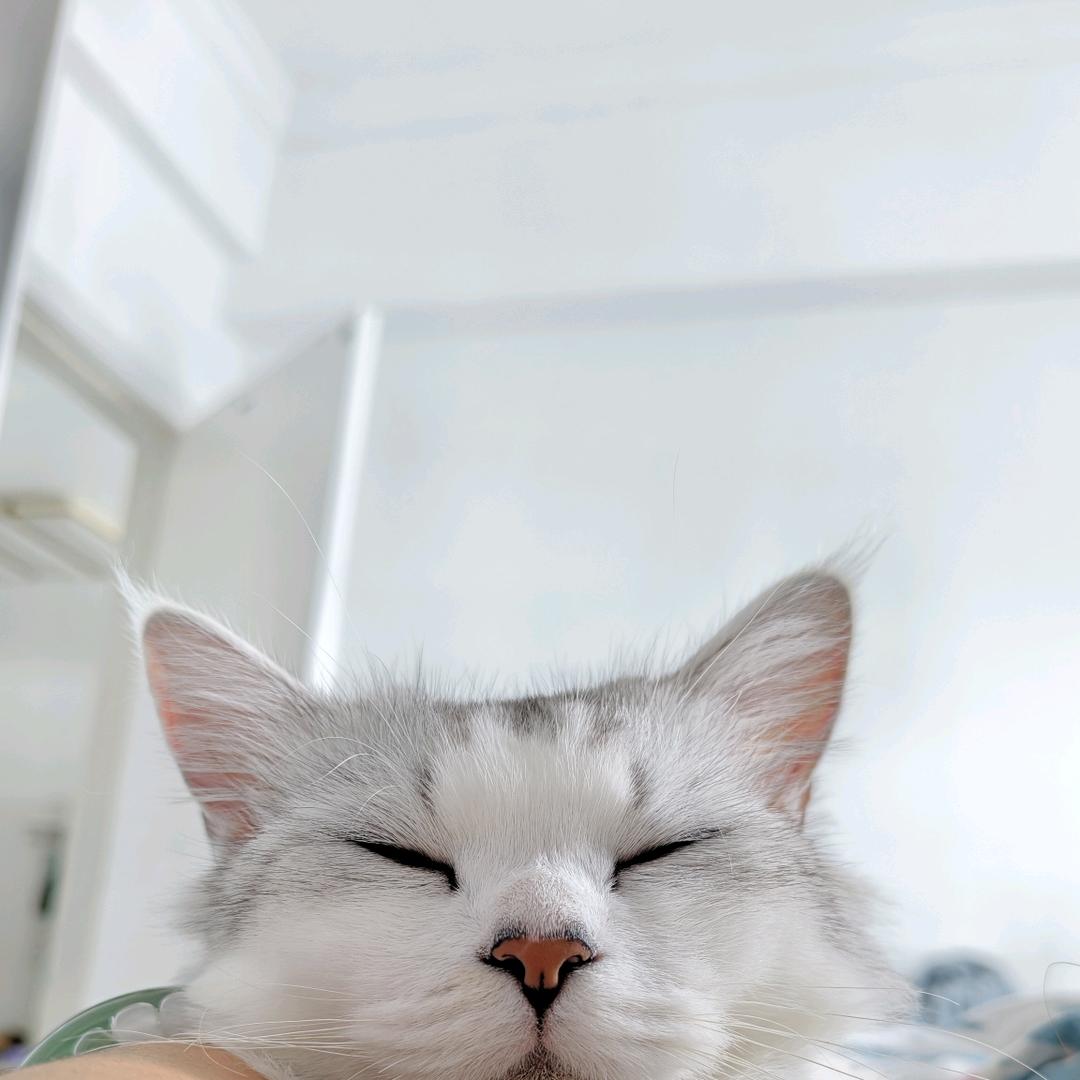 爱做梦的花生米