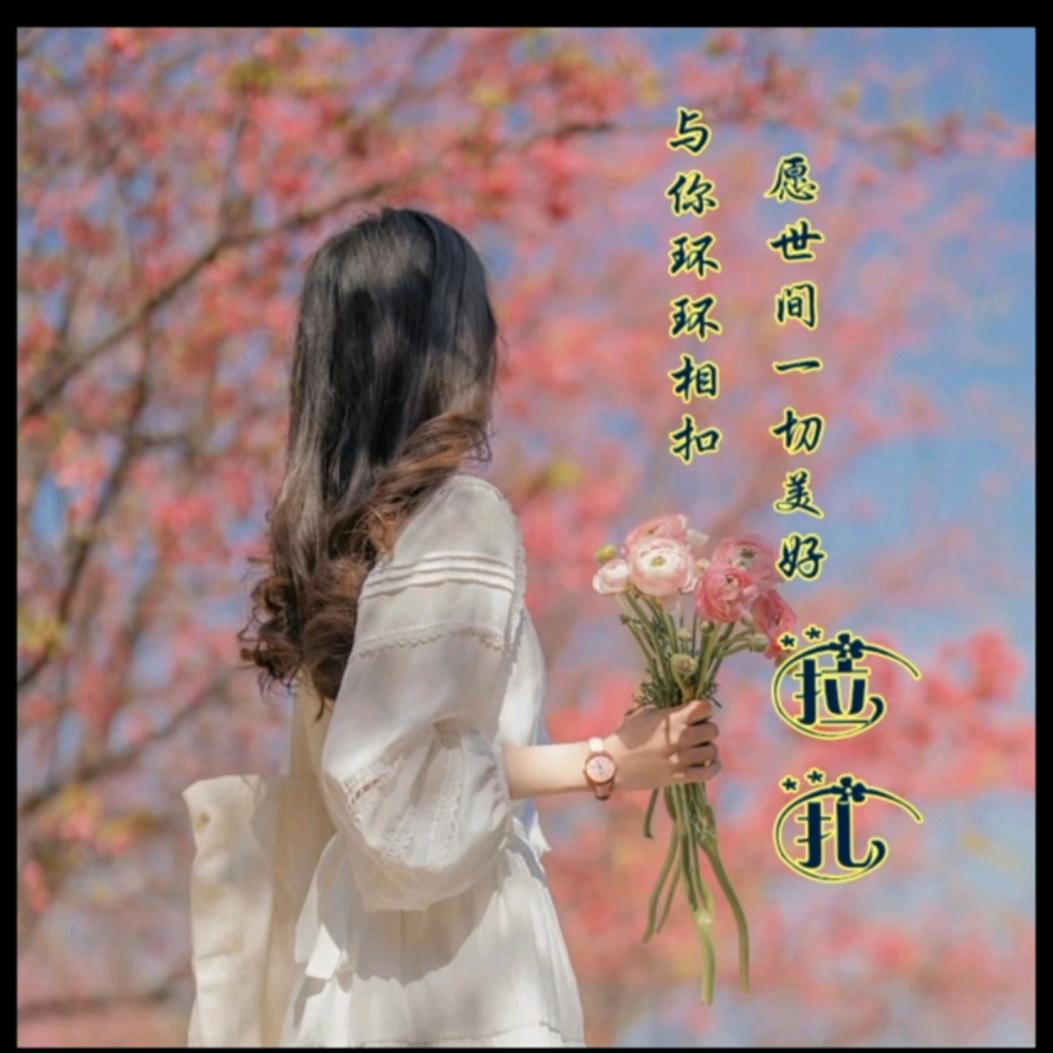 菈髦