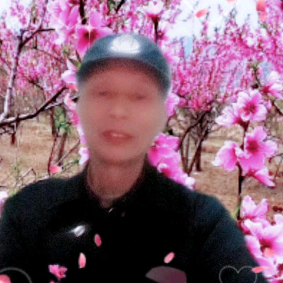 天天开心就好l