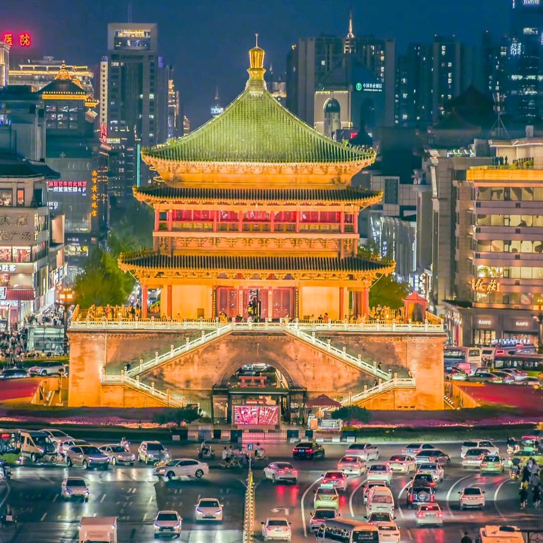 森林迷了木