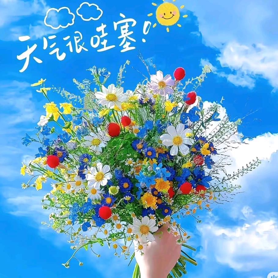 阳光与橙子