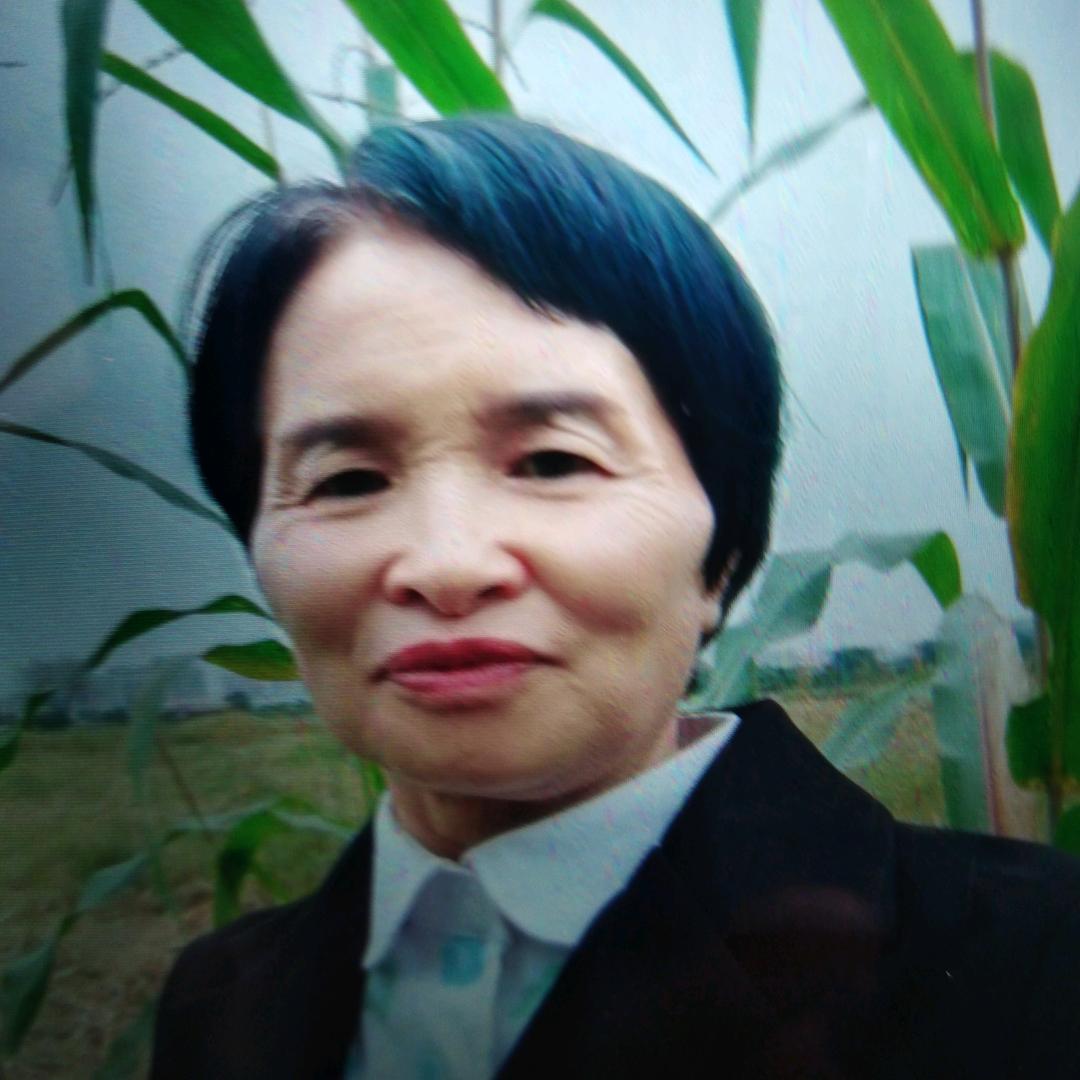 陈姐下午6点20分（首播）