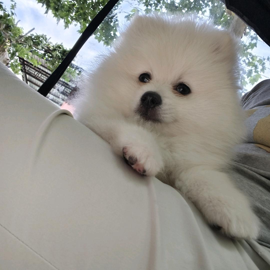 福宝宝吖😬
